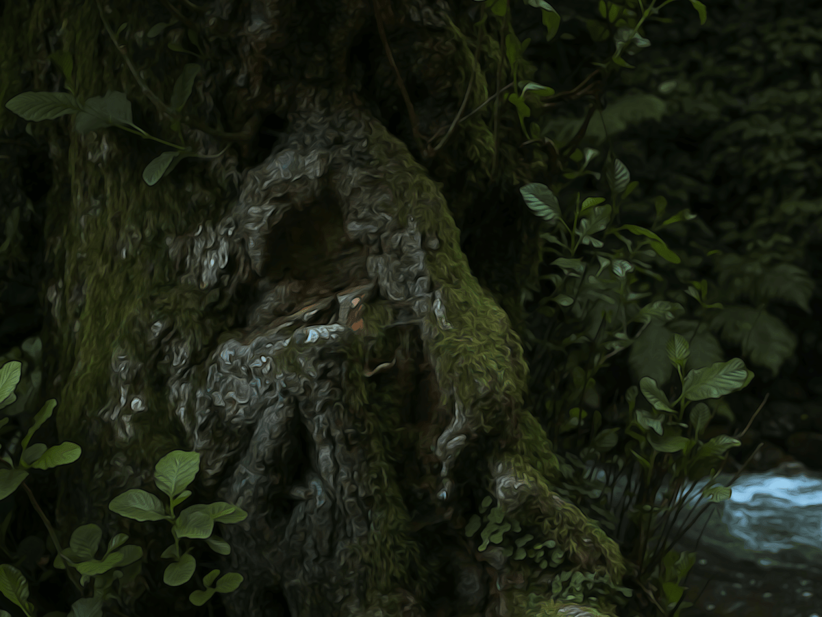 Connect with the&nbsp;Stickweis