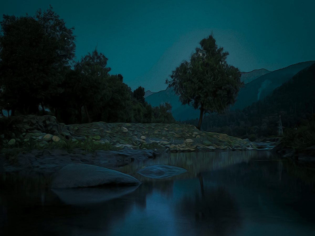 Connecting with the Collective at The Offering&nbsp;Tree