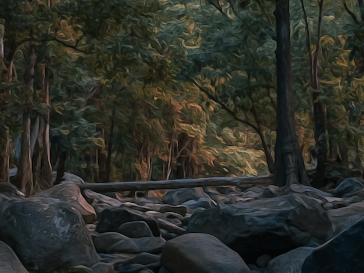 Integrating your Echo